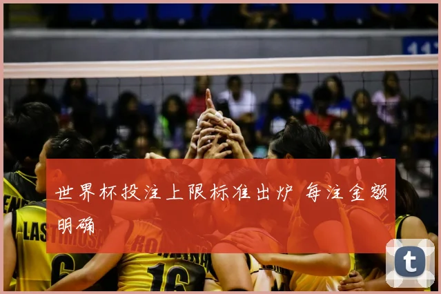 世界杯投注上限标准出炉 每注金额明确