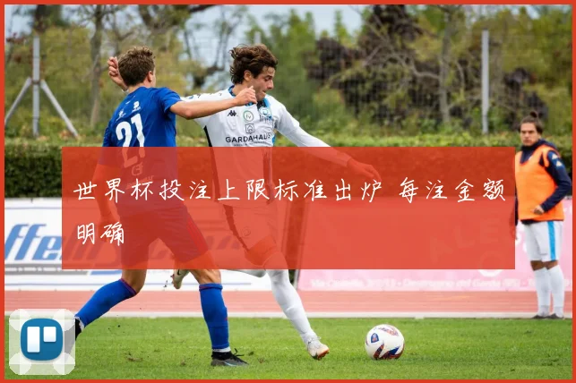 世界杯投注上限标准出炉 每注金额明确