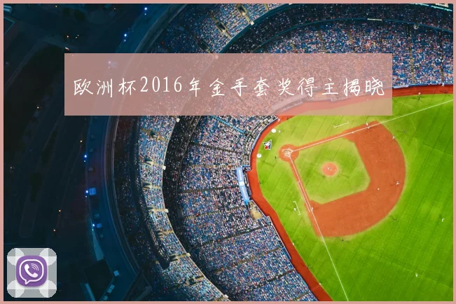 欧洲杯2016年金手套奖得主揭晓