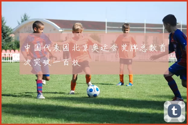 中国代表团北京奥运会奖牌总数首次突破一百枚