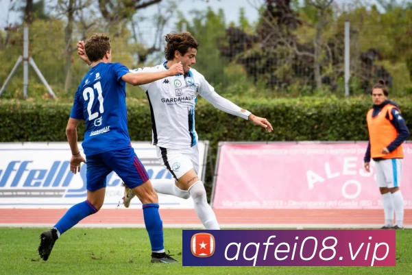 kaiyun开云官方网页版 - kaiyun开云(中国)APP 高清赛事图