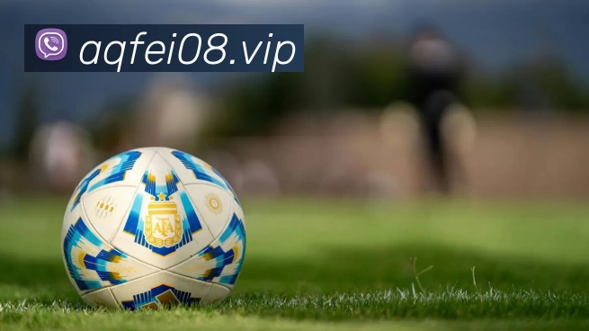 kaiyun开云官方网页版 - kaiyun开云(中国)APP 体育赛事宣传图