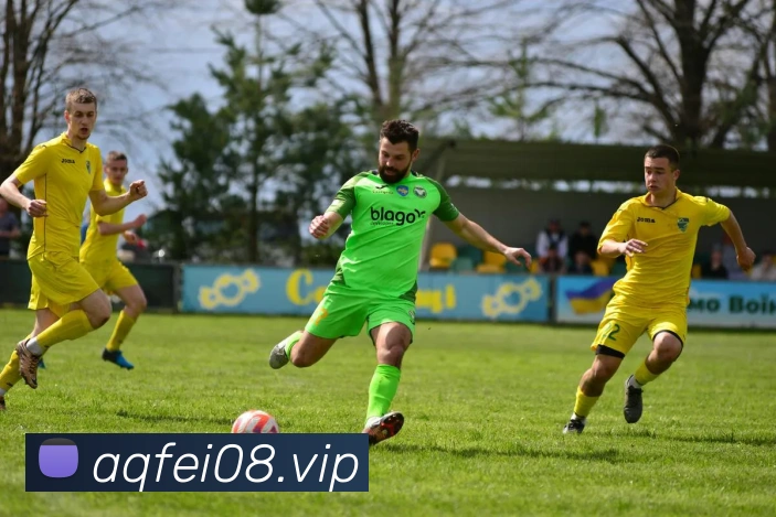 奖项证书